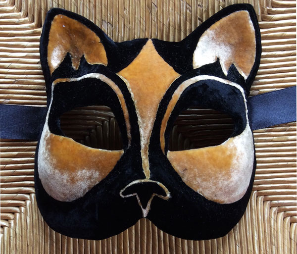 Valentina Bottacin maschere gatto